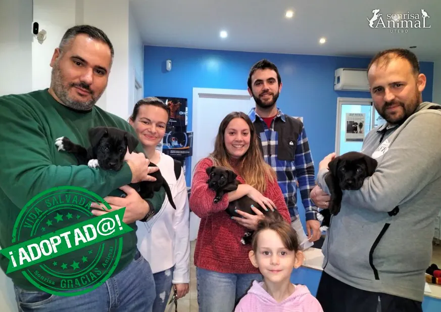 Equipo de Sonrisa Animal junto a varios cachorros tras una adopción