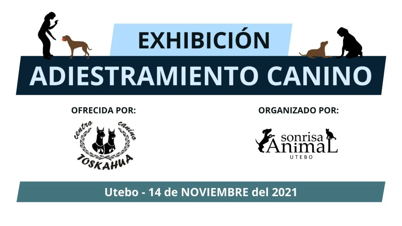 Exhibición de adiestramiento canino celebrada en Utebo