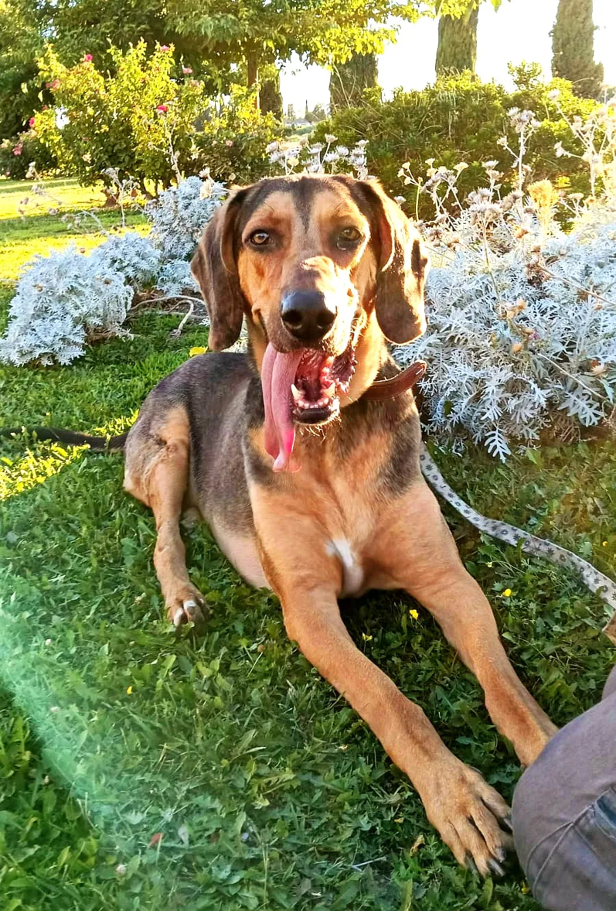 Hermes, fotografía 1