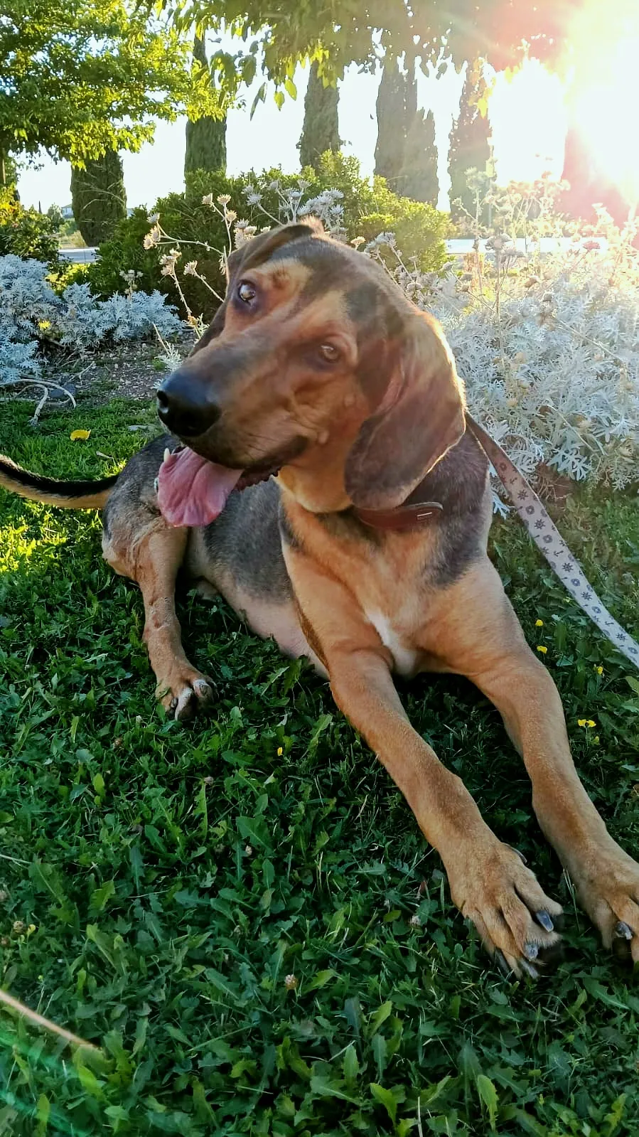 Hermes, fotografía 2