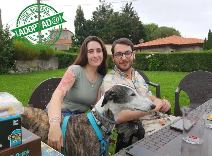 Lápiz descansando junto a su nueva familia