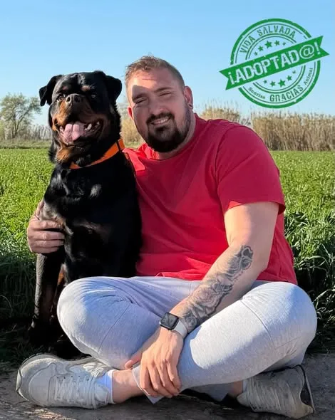 Leia sentada en el campo junto a su adoptante