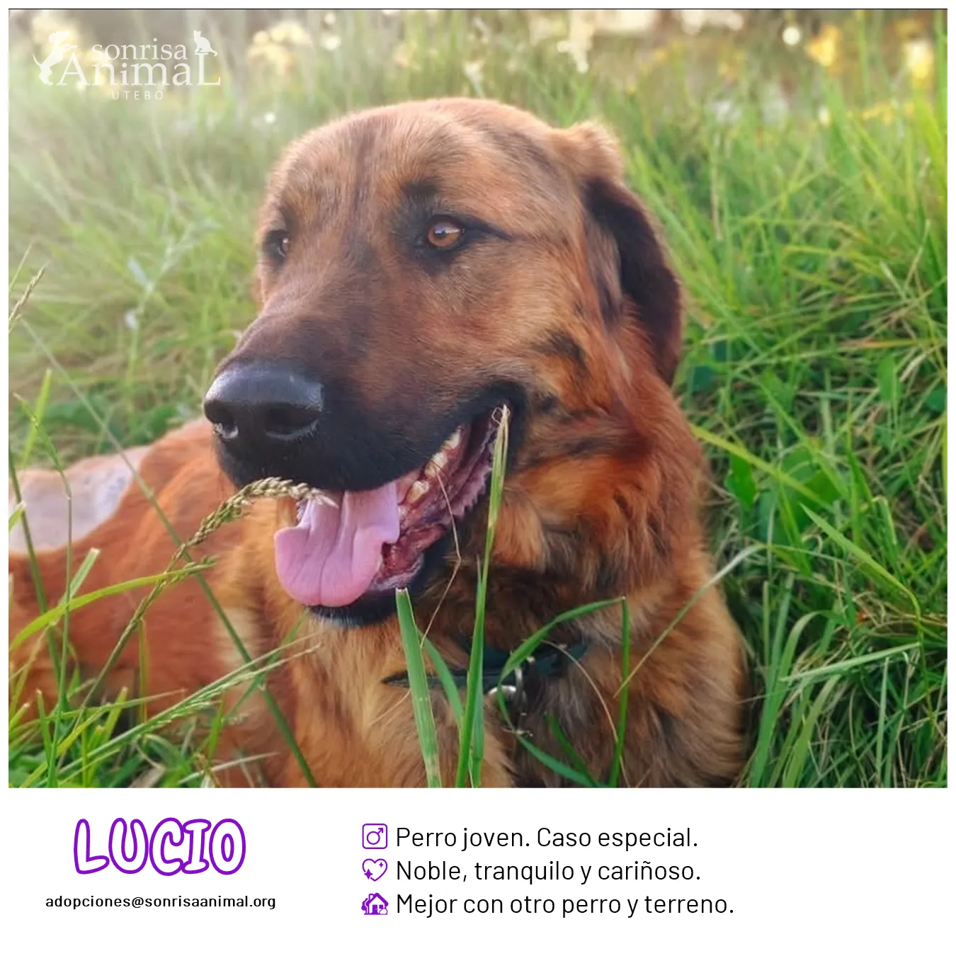 Lucio, fotografía 1