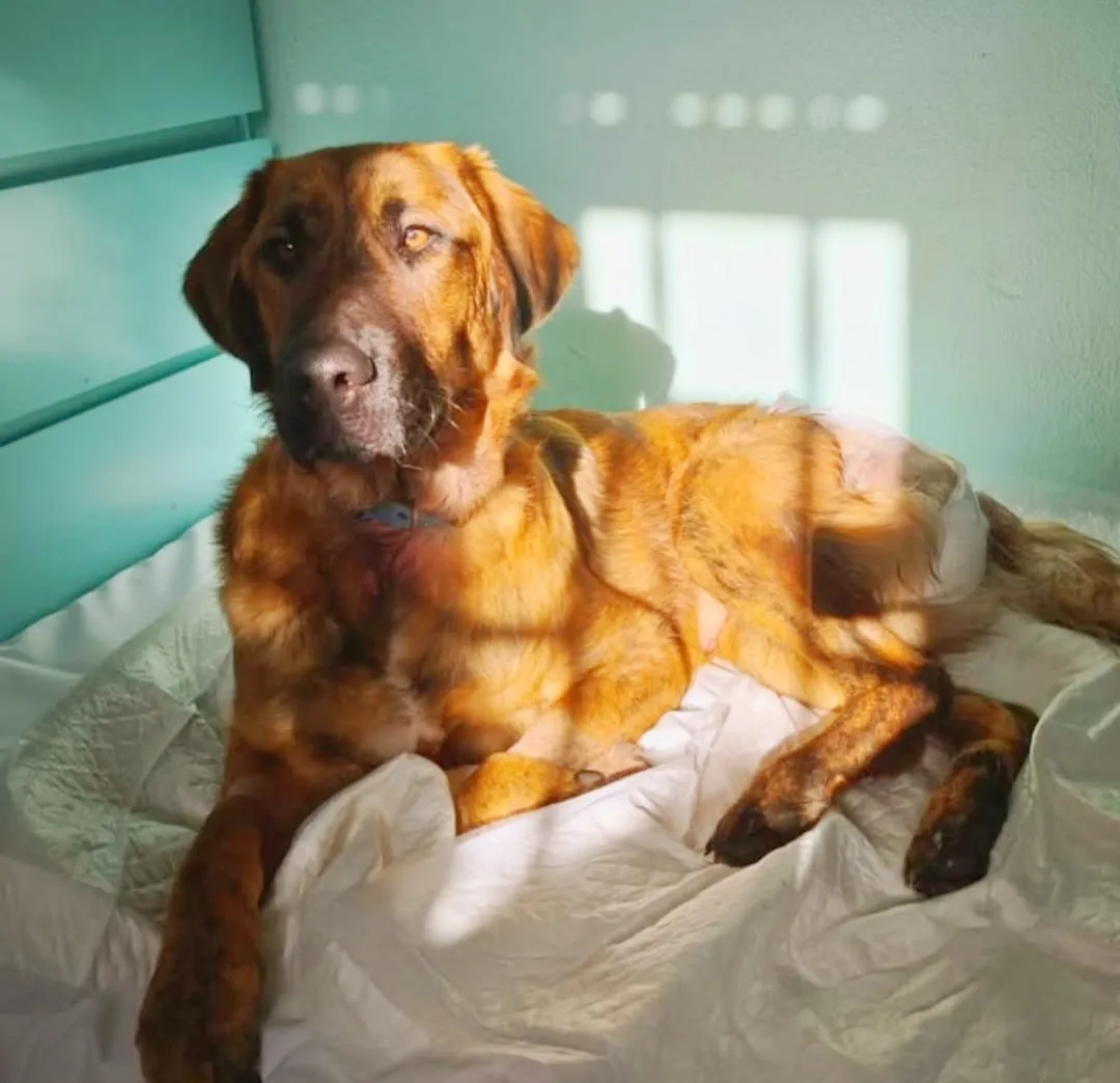 Lucio, fotografía 2