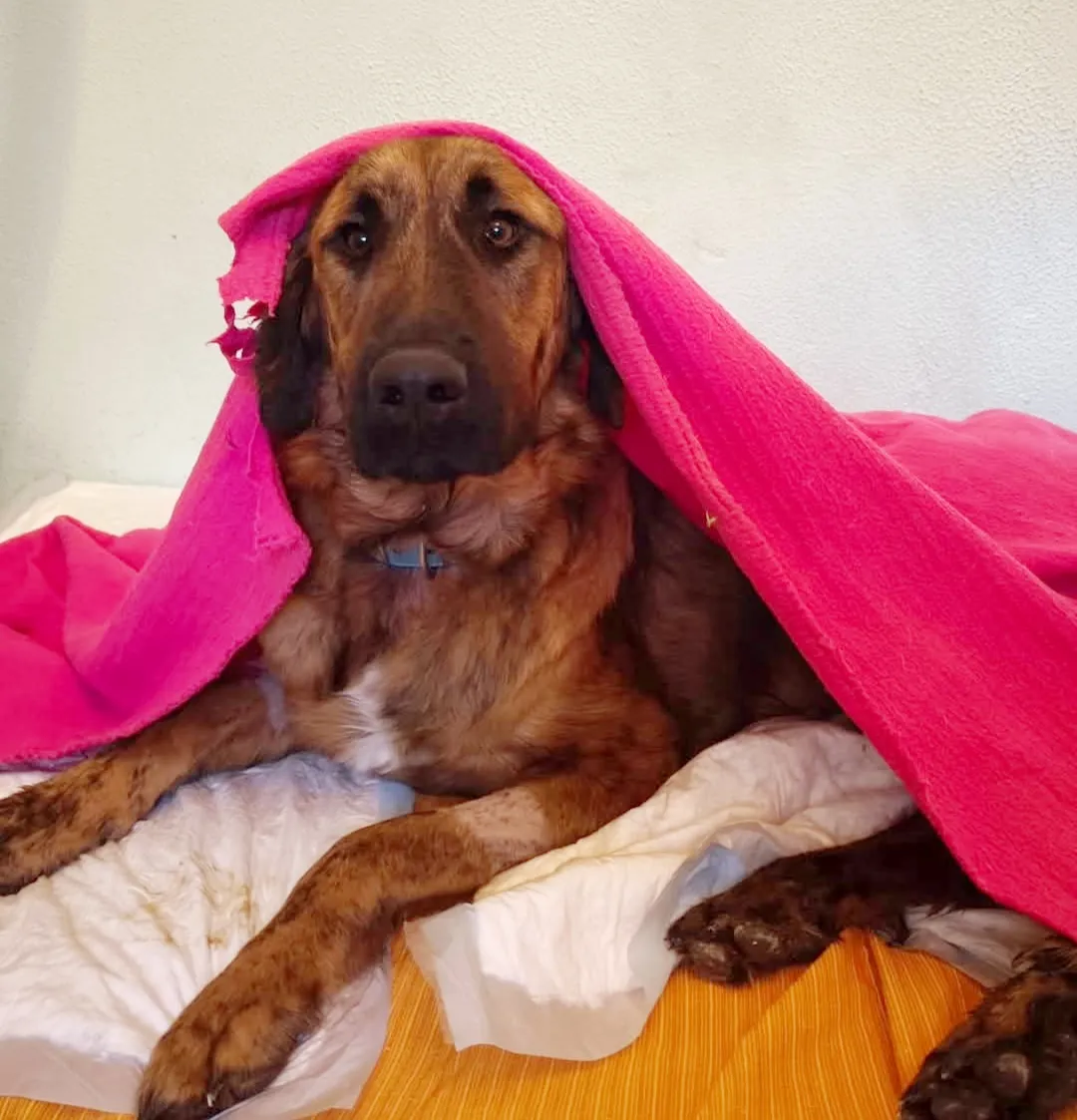 Lucio, fotografía 3