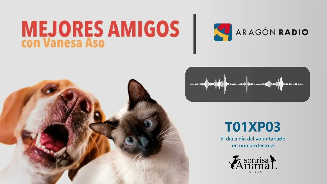 Entrevista a Sonrisa Animal en el programa Mejores Amigos de Aragón Radio