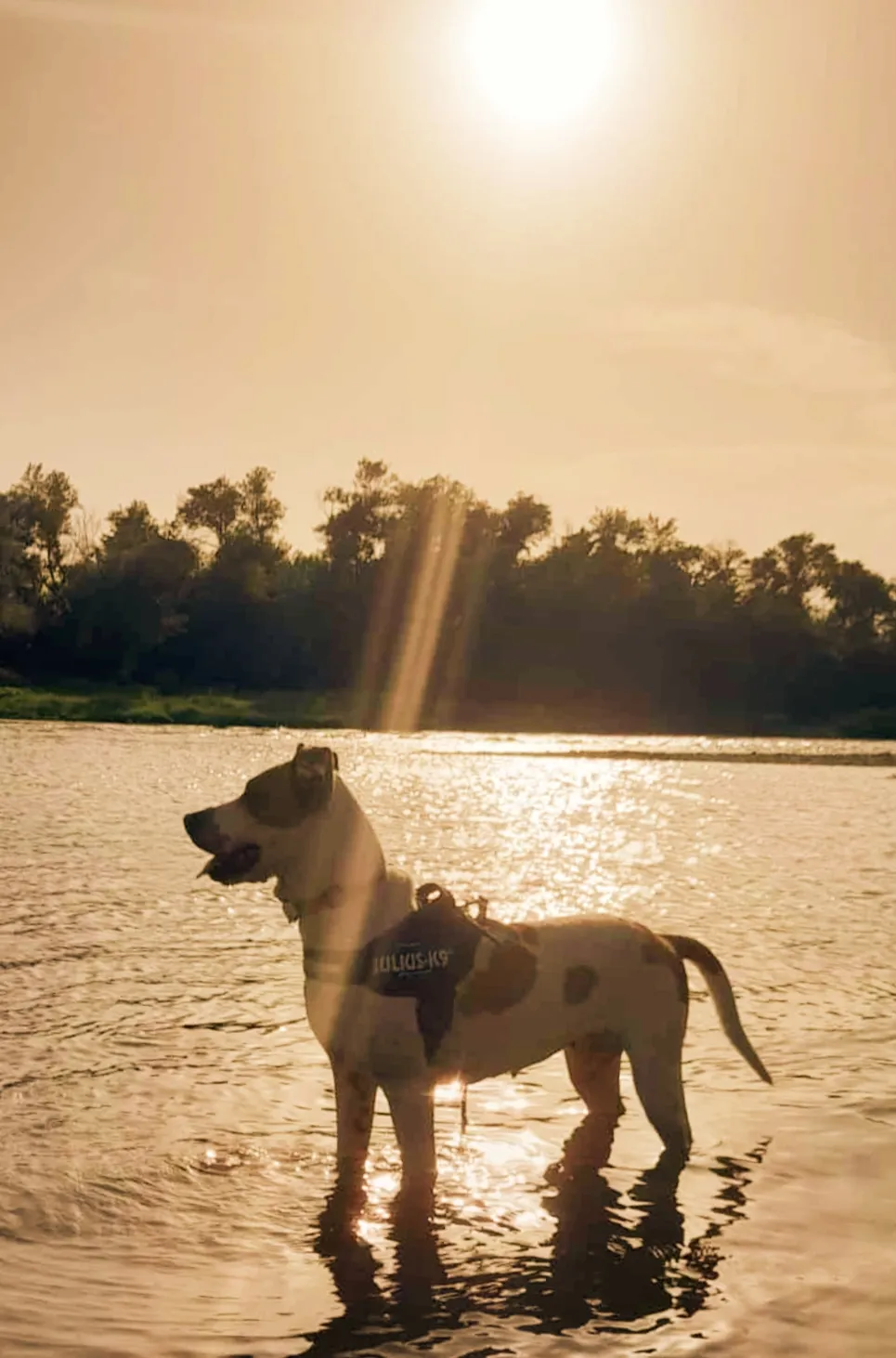Moka, fotografía 5