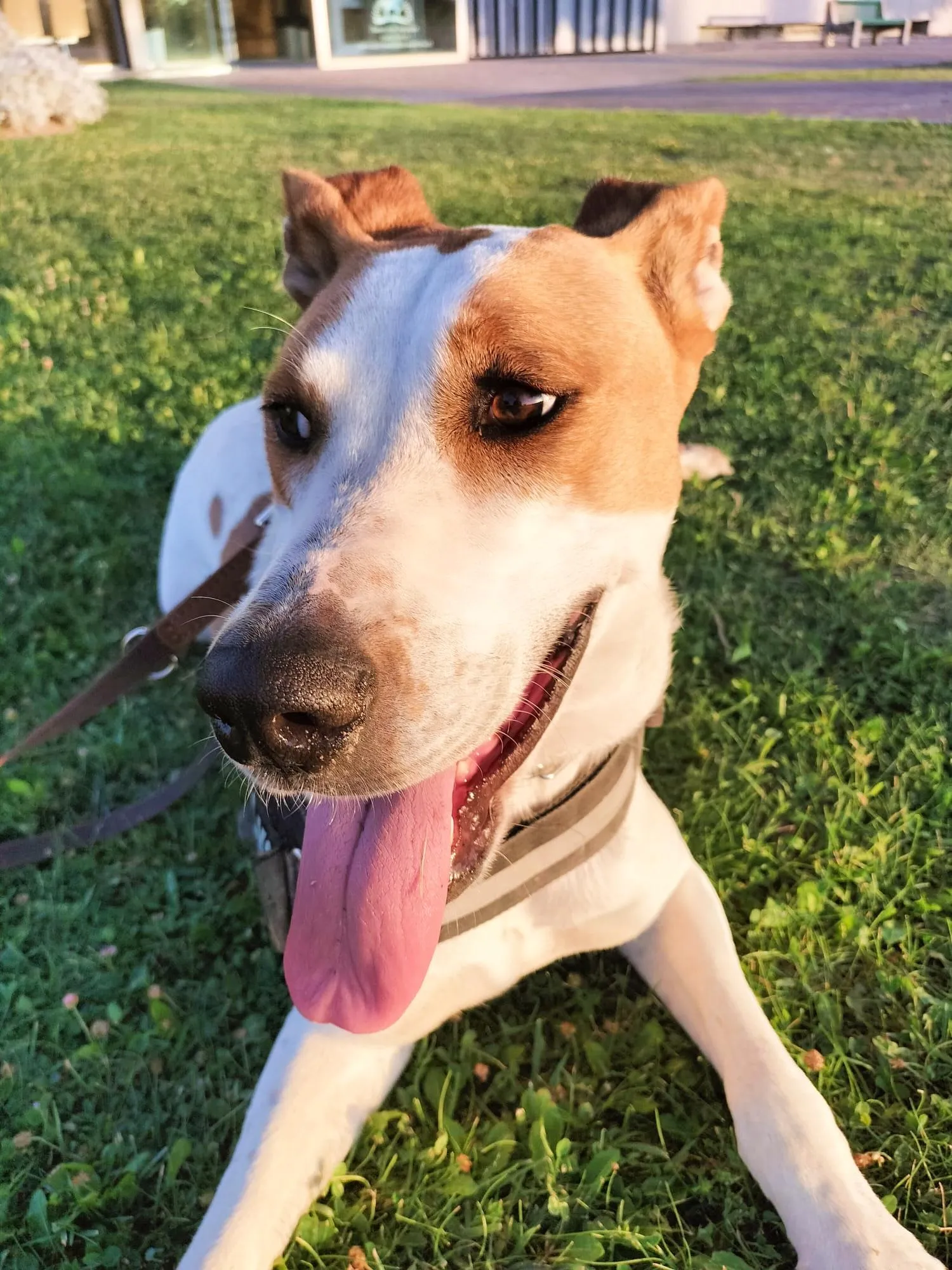 Moka, fotografía 6