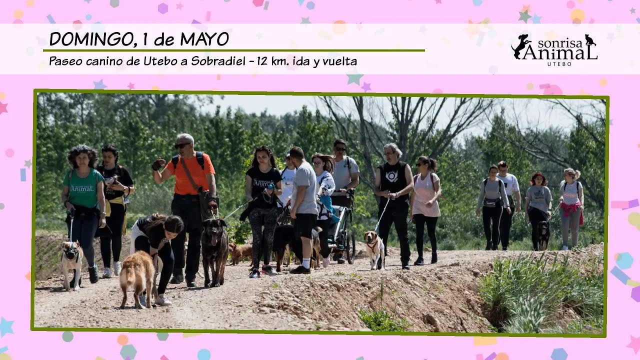Participantes del paseo canino entre Utebo y Sobradiel