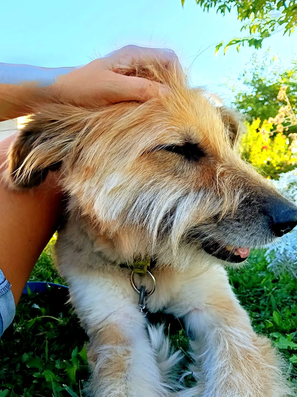 Poli, fotografía 1