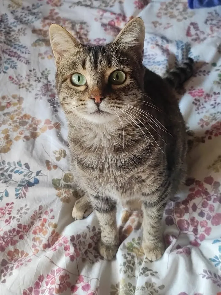 Princesa, fotografía 1