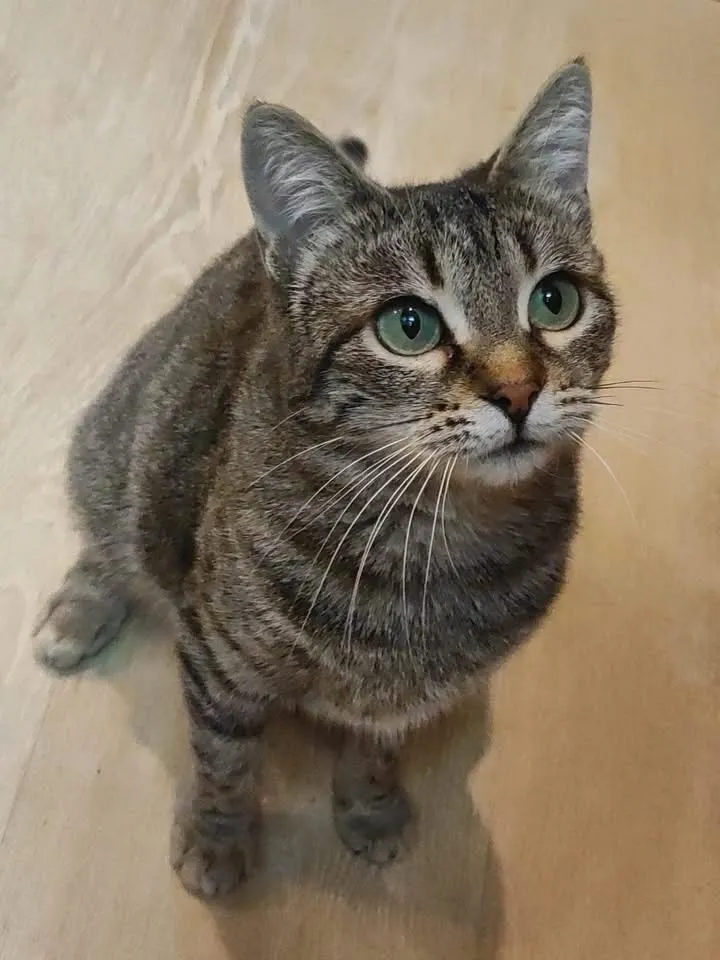 Princesa, fotografía 2