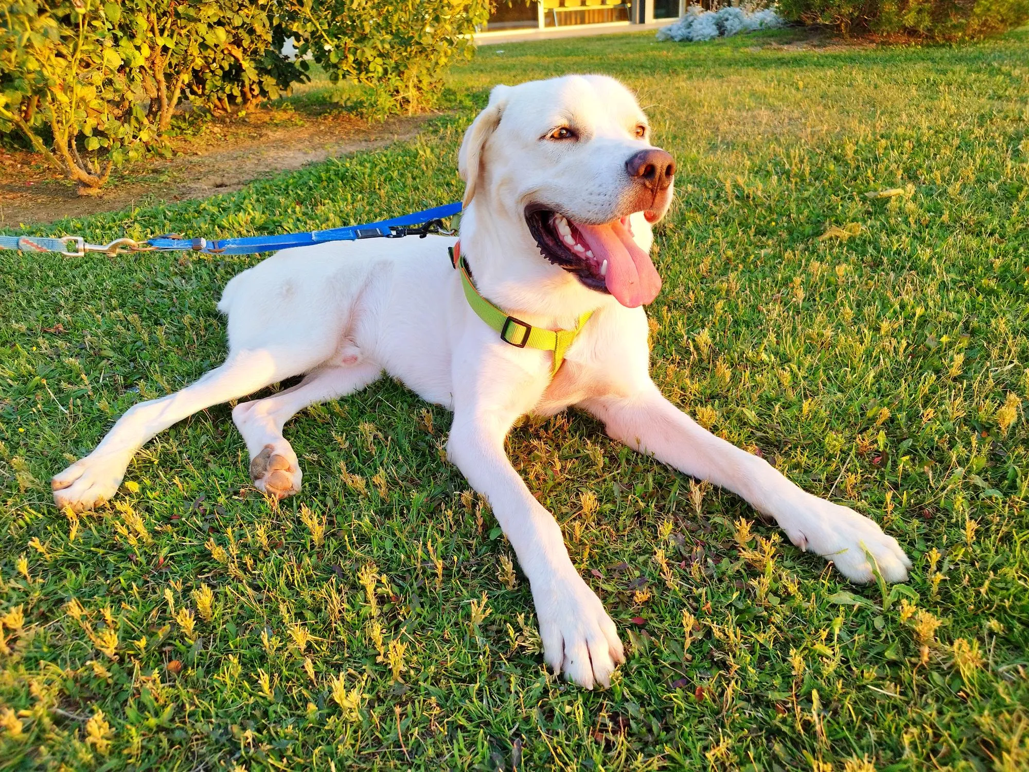 Tofu, fotografía 4