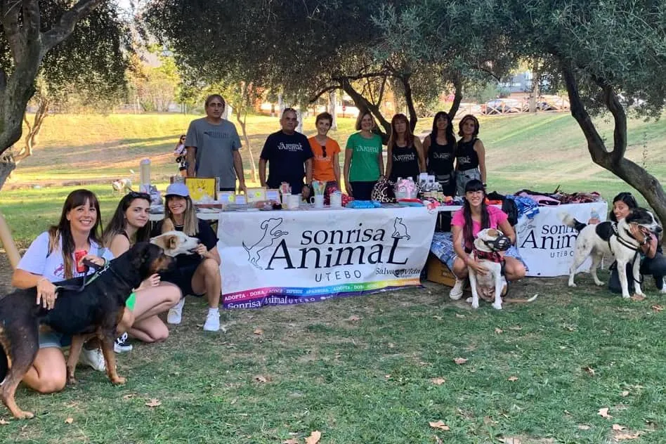 Voluntarias y voluntarios de Sonrisa Animal junto a varios perros en un puesto solidario.