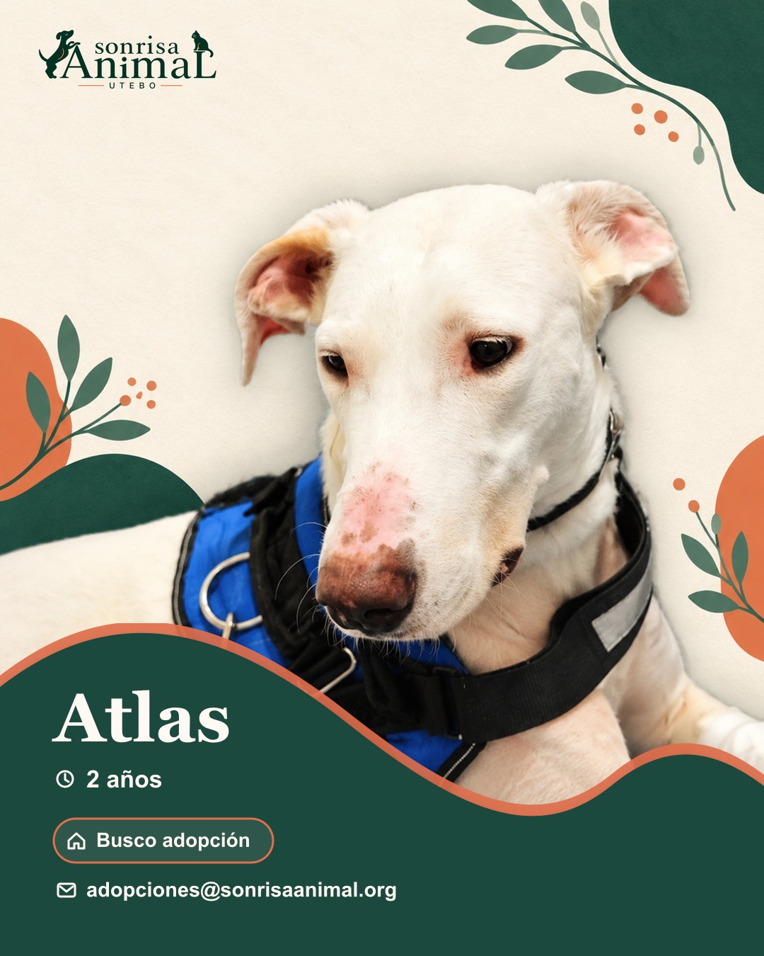 Ficha para compartir de Atlas