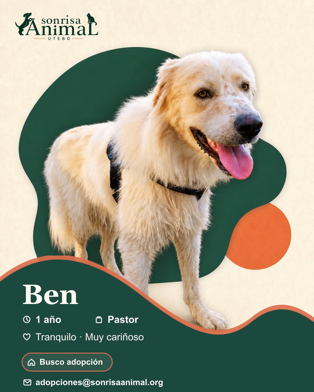 Ficha para compartir de Ben
