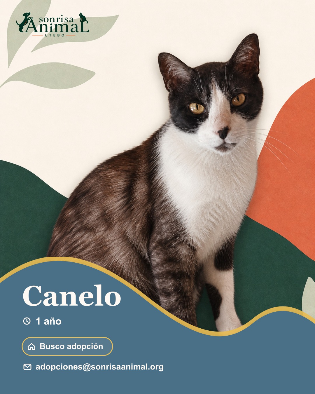 Ficha para compartir de Canelo