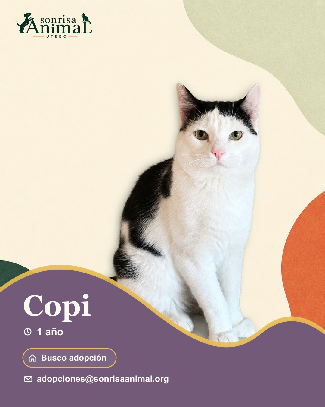 Ficha para compartir de Copi