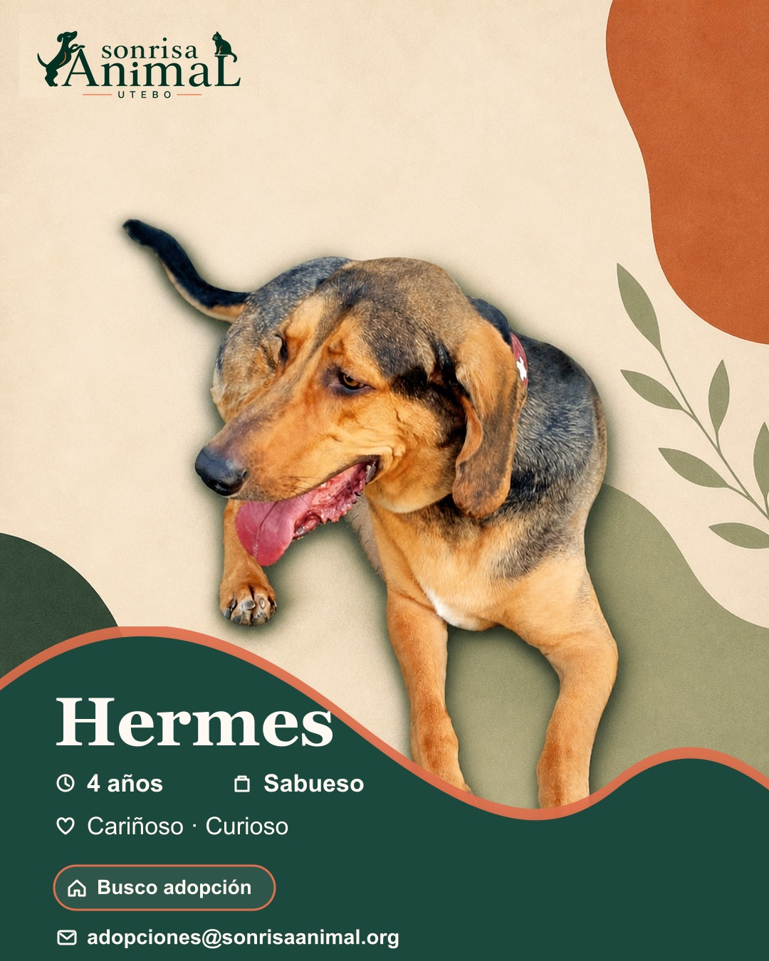 Ficha para compartir de Hermes