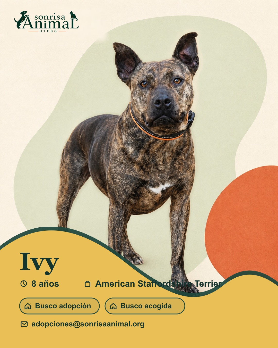 Ficha para compartir de Ivy