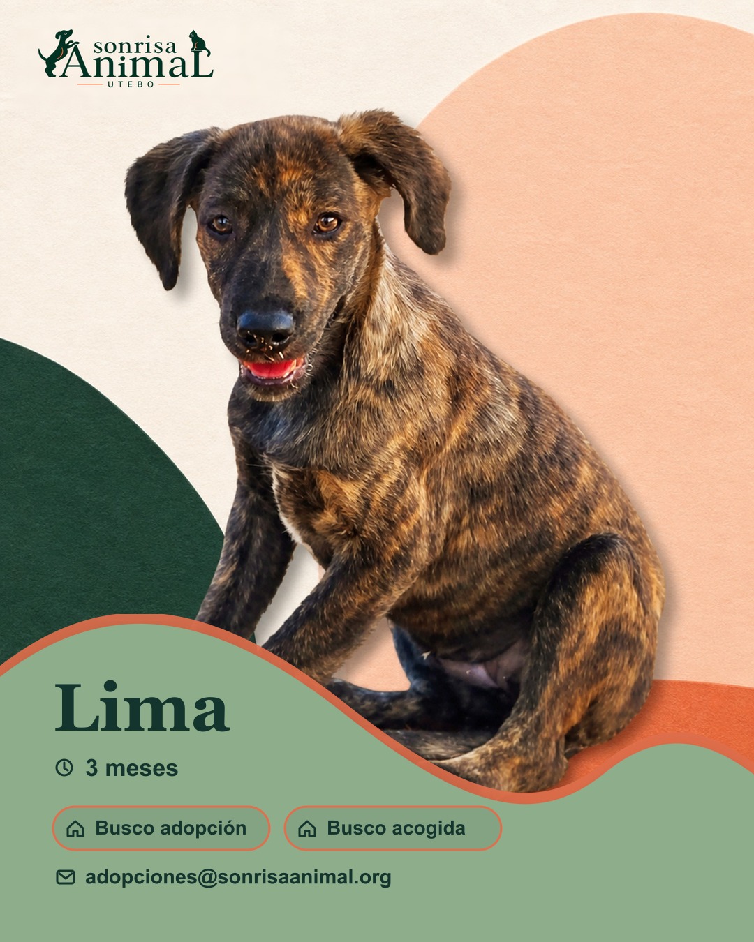 Ficha para compartir de Lima