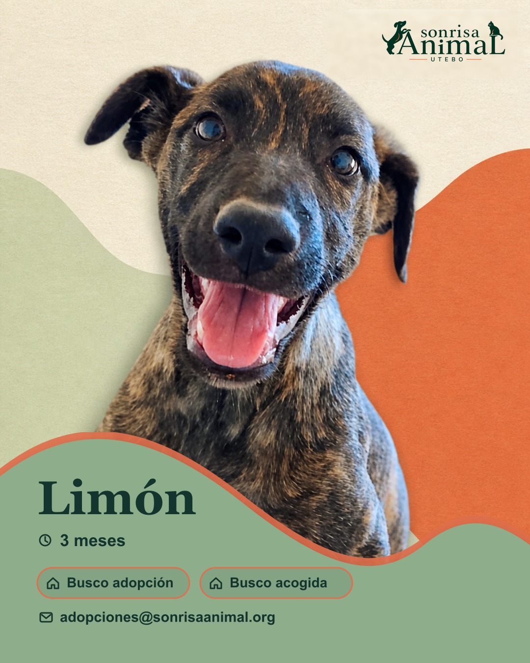 Ficha para compartir de Limón
