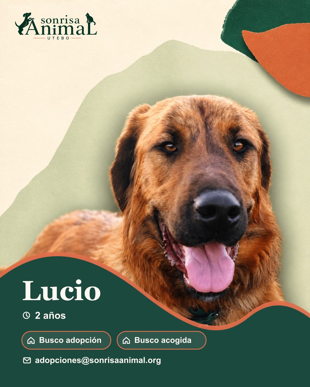 Ficha para compartir de Lucio