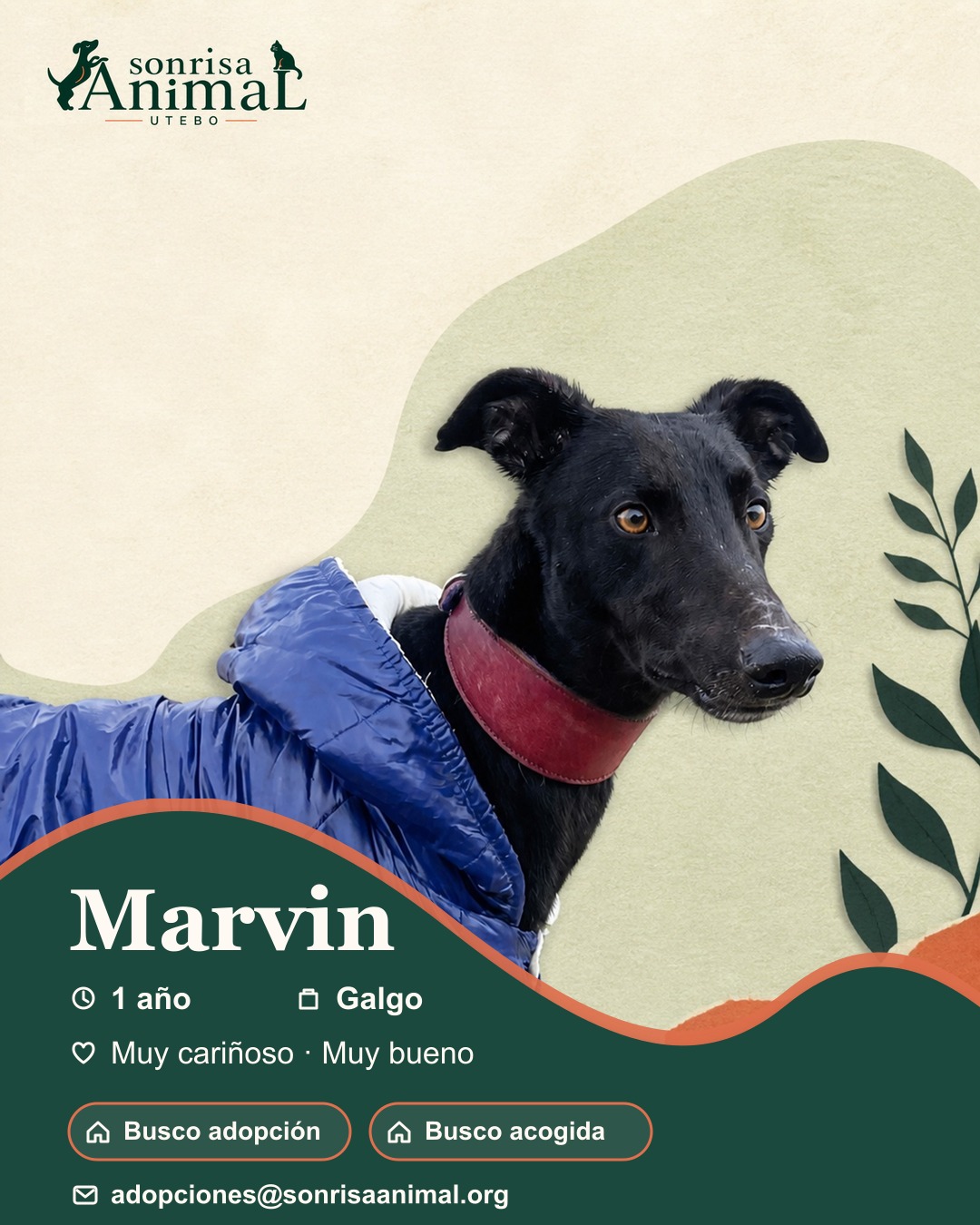Ficha para compartir de Marvin
