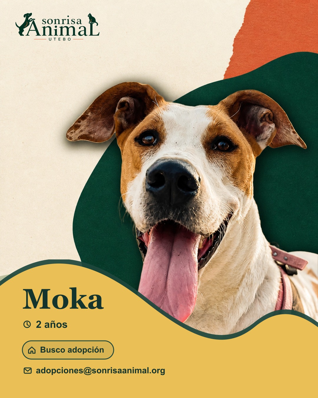 Ficha para compartir de Moka