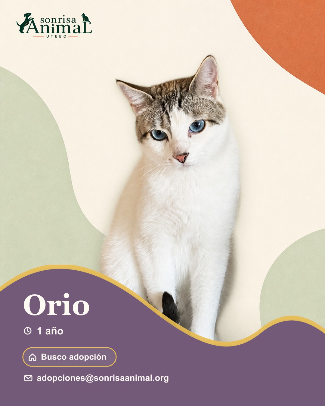 Ficha para compartir de Orio
