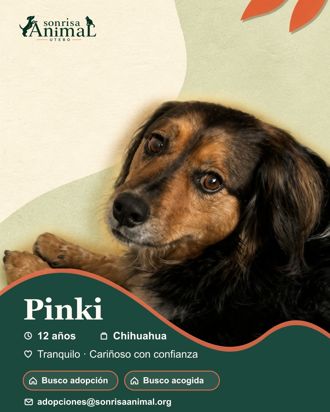 Ficha para compartir de Pinki