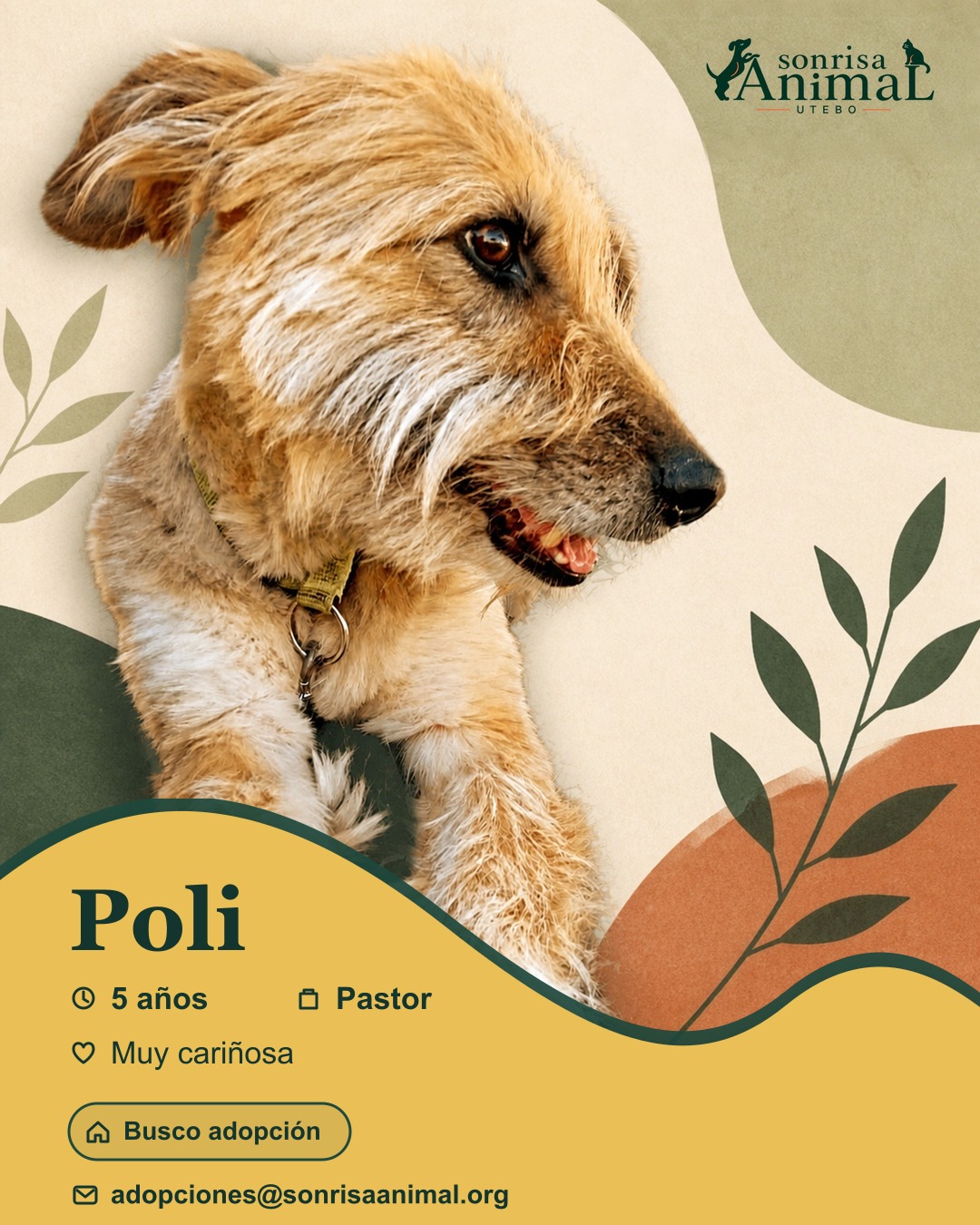 Ficha para compartir de Poli