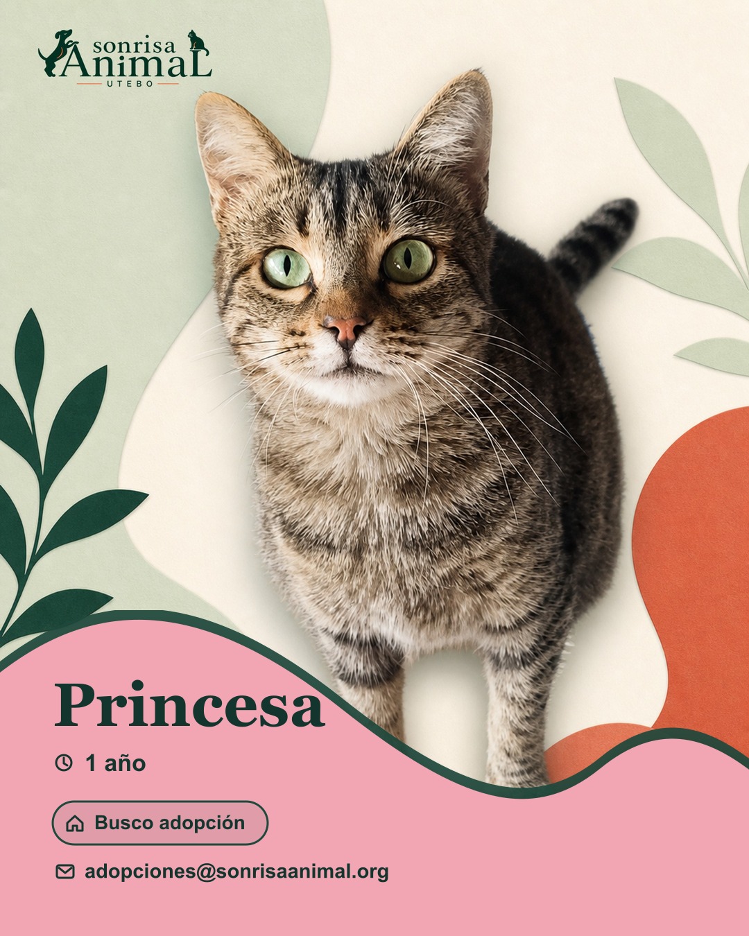 Ficha para compartir de Princesa