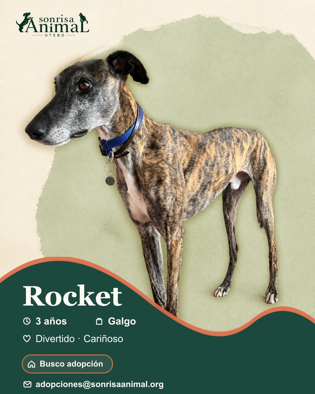 Ficha para compartir de Rocket